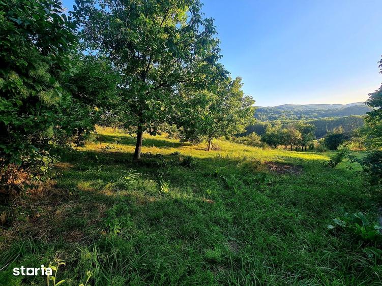 Teren de 3250 mp, în Păușești