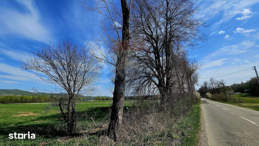 Teren de 10000 mp, în Vânători-Neamț