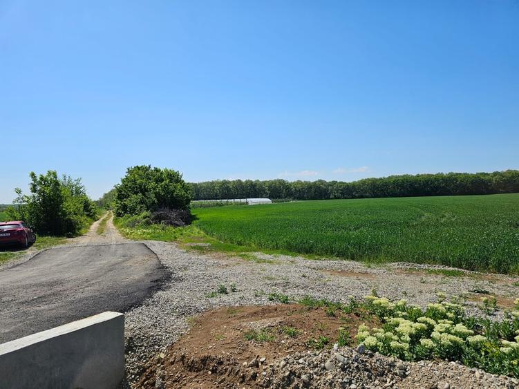 Teren Construcții intravilan de 17714 mp, în Bălteni
