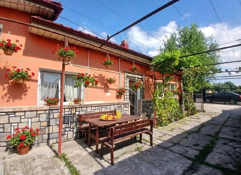 Casă cu 3 camere cu Teren 2700 Mp în Coada Izvorului