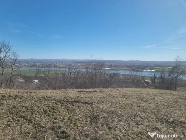 Teren de 3039 mp, în Podgoria