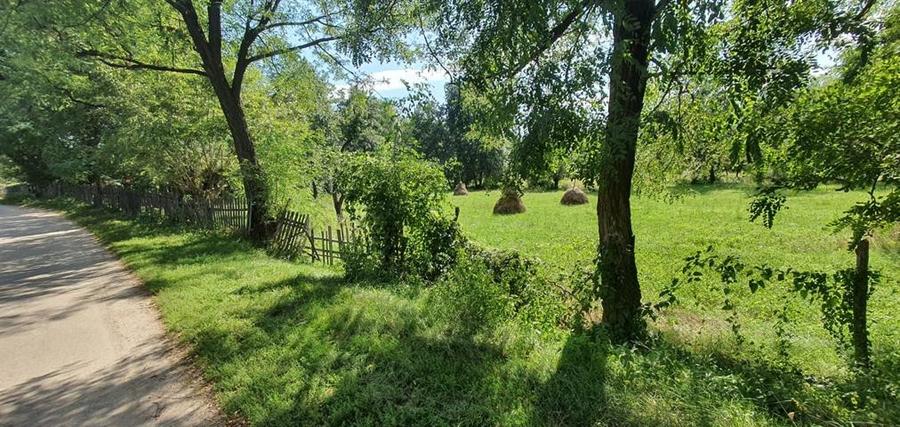 Teren Construcții intravilan de 6132 mp, în Poienari (Corbeni)