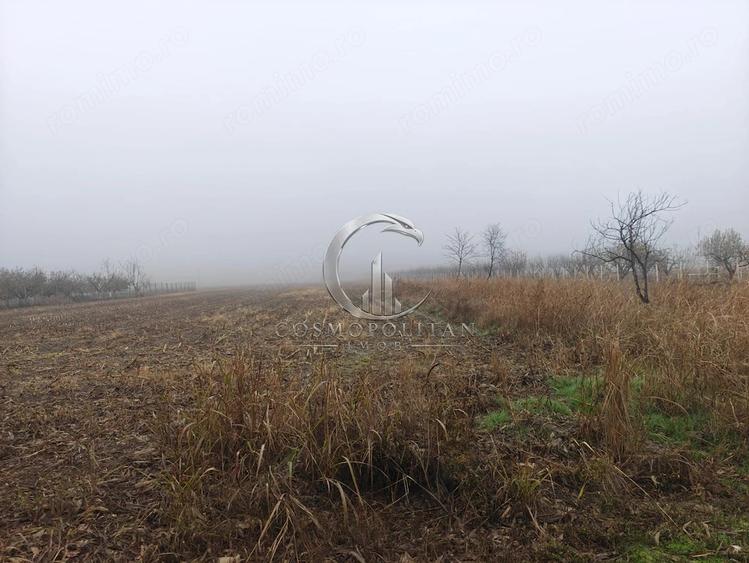 Teren de 12511 mp, în Potoceni