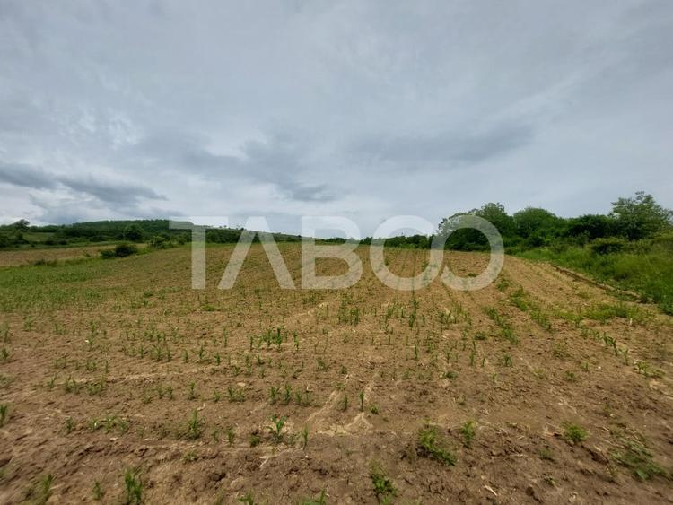 Teren agricol extravilan de 10000 mp, în Șura Mare