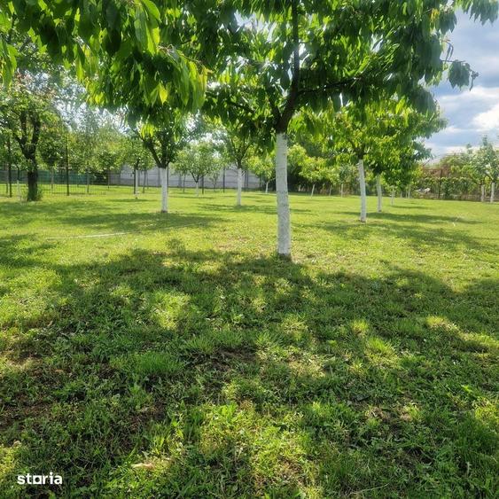 Casă cu 4 camere cu Teren 1458 Mp în Aradul Nou