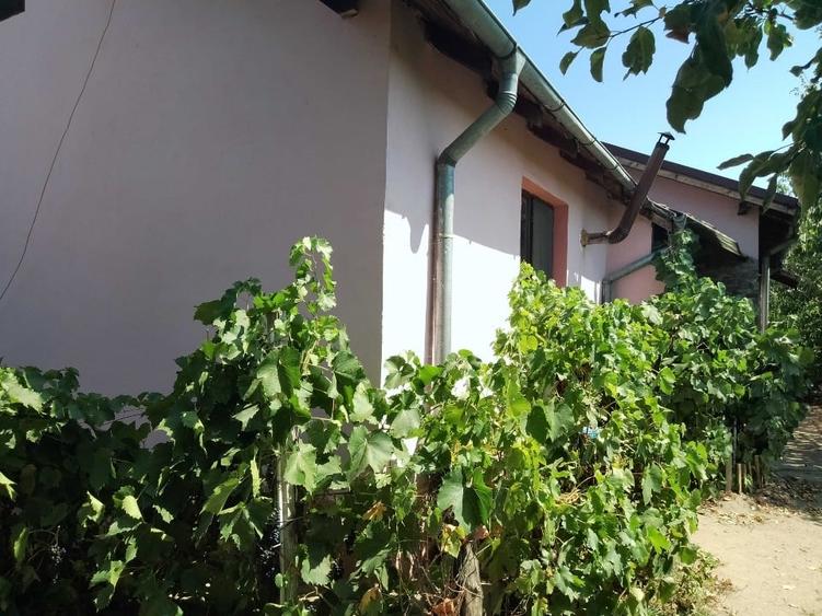 Casă individuală cu 4 camere cu Canalizare în Bariera Vâlcii