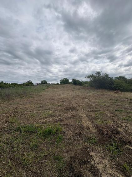 Teren Construcții intravilan de 1500 mp, în Est