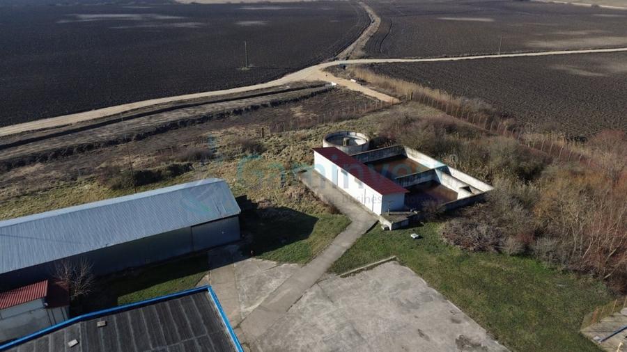 Spațiu industrial, de 6,227 mp, în Homorog