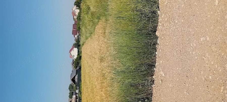 Vind teren intravilan - 3