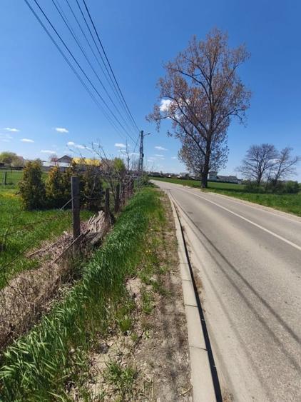 Teren Construcții intravilan de 4600 mp, în Est