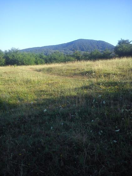 Teren agricol extravilan în Vărbilău