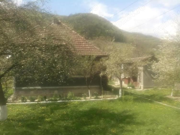 Casă cu 3 camere în Criș