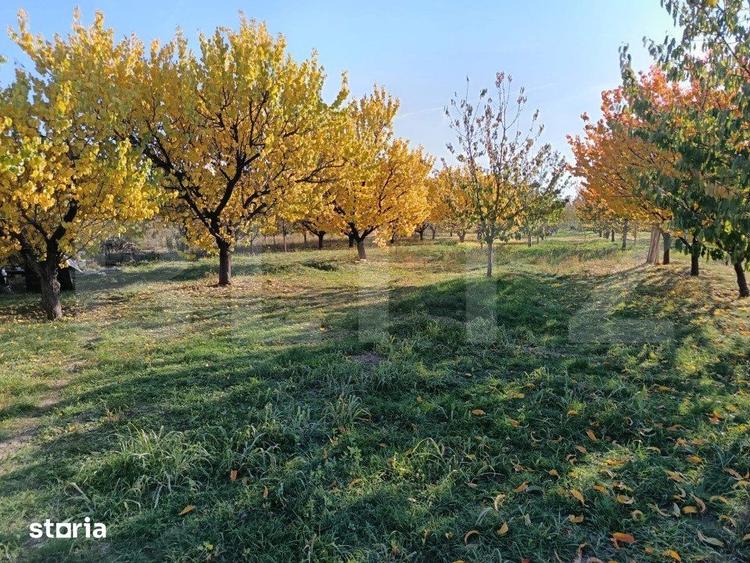 Teren de 6360 mp, în Măgurele