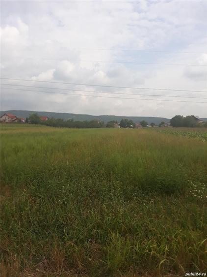 Teren în Bascov