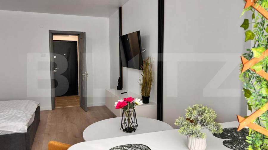Garsoniera moderna , prima inchiriere, zona Brazda, Baba lui Novac - 5