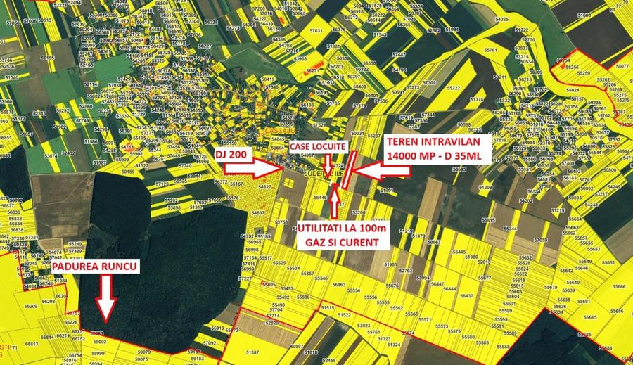 Teren Construcții intravilan de 14000 mp, în Dascălu