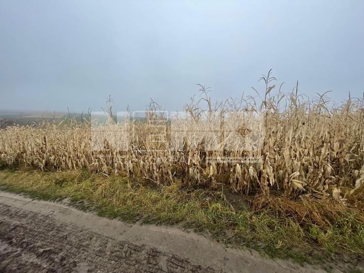 Teren agricol extravilan de 28400 mp, în Dărmănești