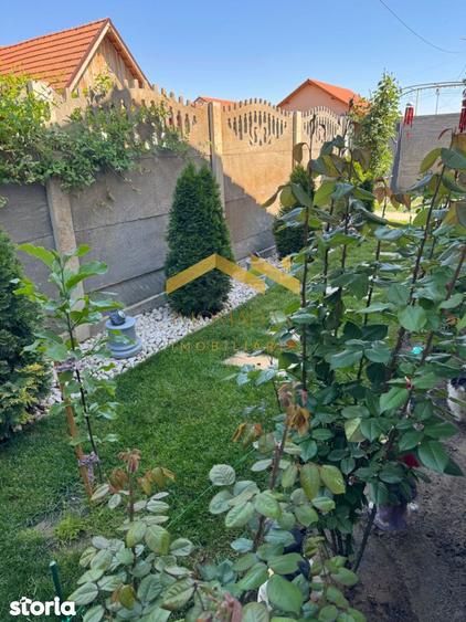 Casă cu 4 camere cu Teren 440 Mp în Sânmihaiu Român