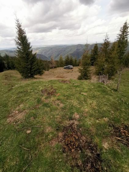 Teren de 15841 mp, în Muntele Rece