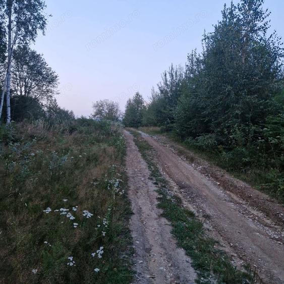 Teren în Central