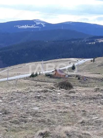 Teren de 3854 mp, în Paltin
