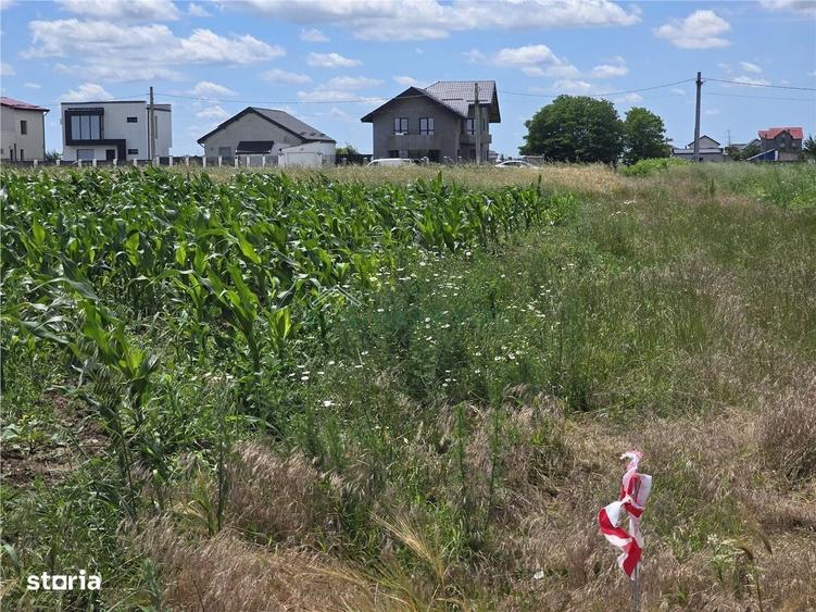 Vand teren 5000 mp extravilan langa case, Berceni - 1