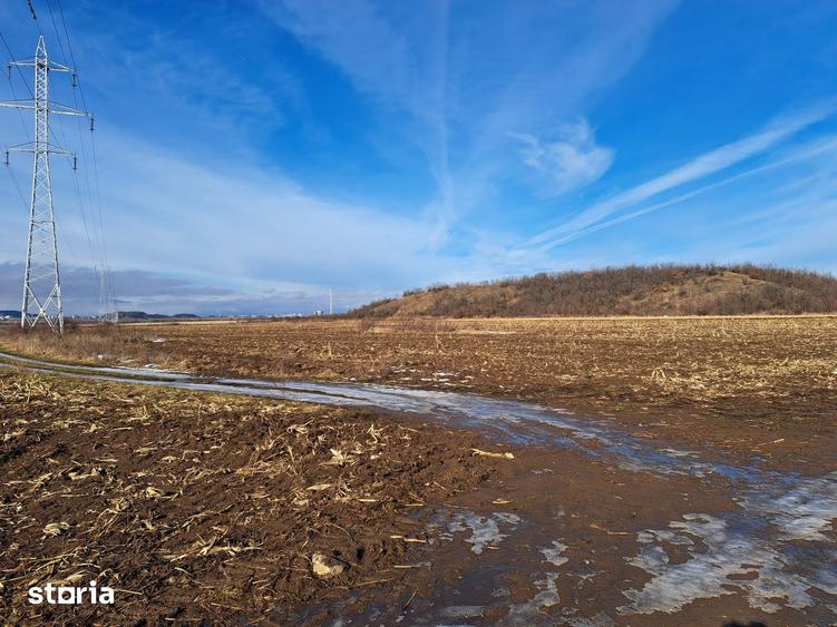 Teren de 3500 mp, în Movilei