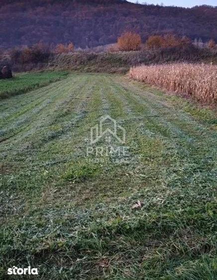 Teren de 708 mp, în Cricău