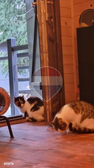 Casă cu 2 camere cu Teren 1500 Mp în Poieni