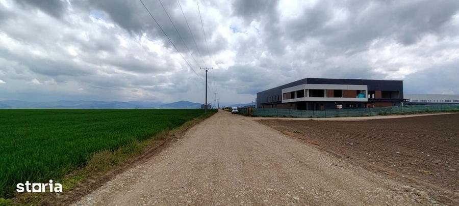 Teren de 13000 mp, în Hărman