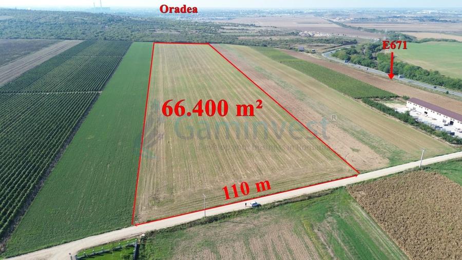 Teren Construcții intravilan de 66400 mp, în Biharia