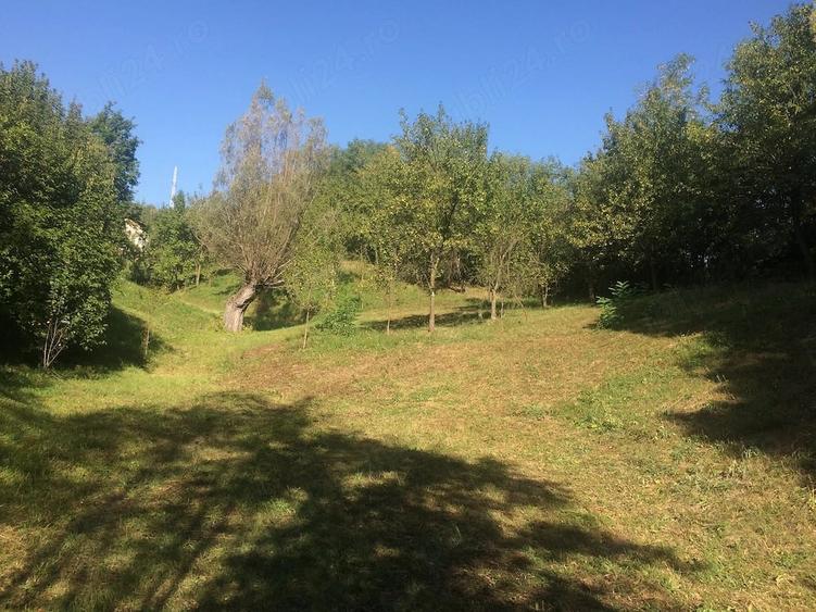 Teren de 11000 mp, în Drajna