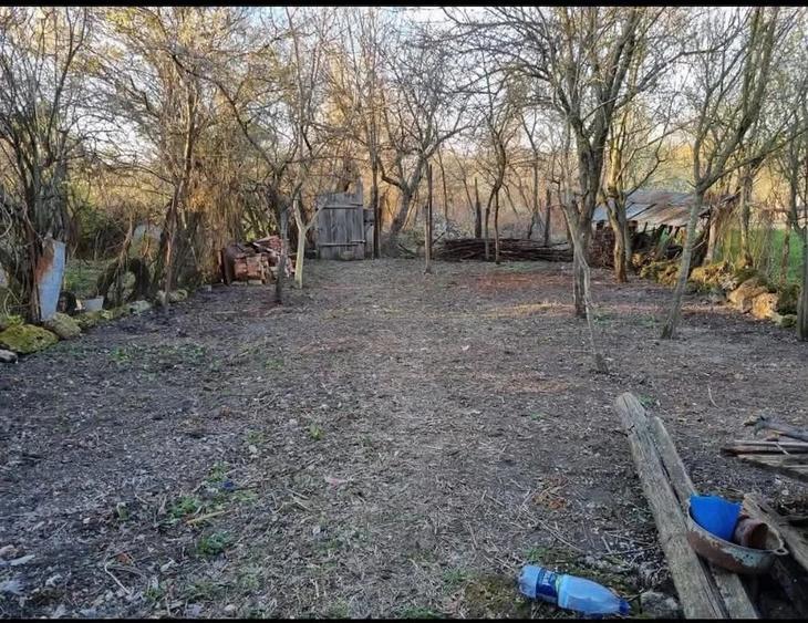 Casă cu 3 camere în Macoviște (Ciuchici)
