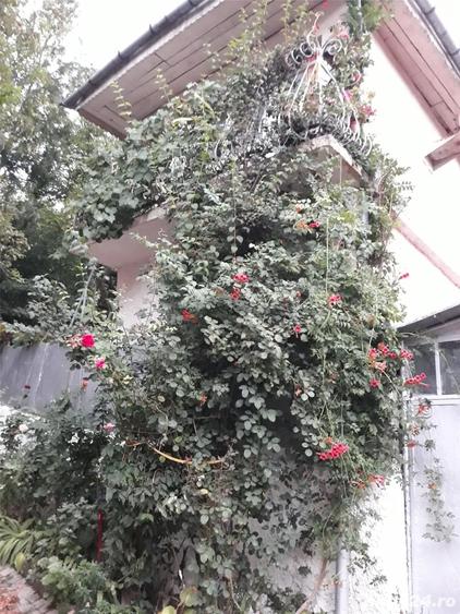 Casă cu 5 camere cu Teren 250 Mp în Oravița