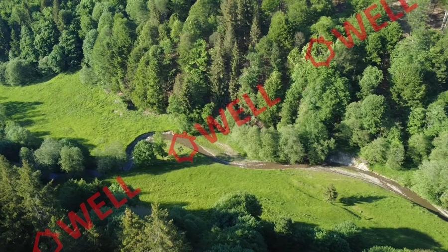 Teren agricol extravilan de 57000 mp, în Vama Buzăului
