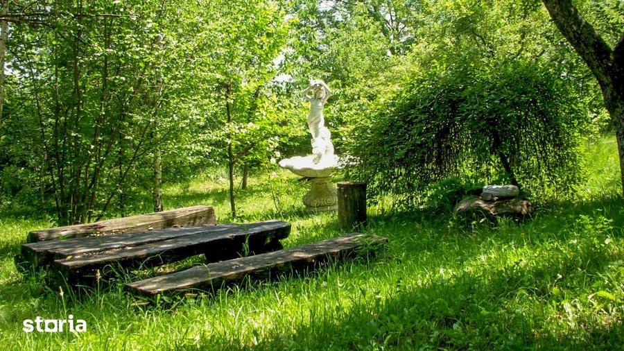 Teren de 14000 mp, în Mihai Viteazu