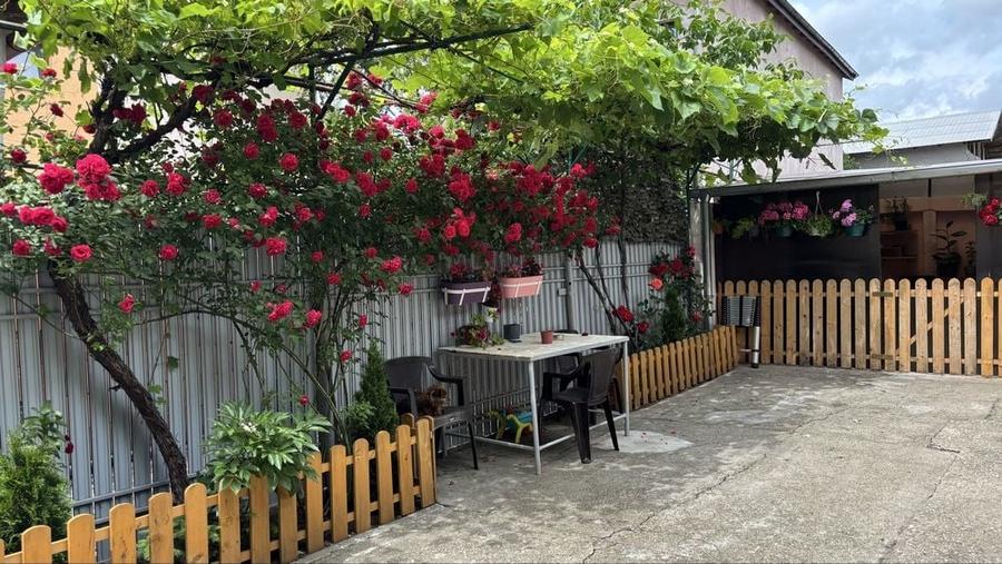 Casă cu 3 camere în Dobroești