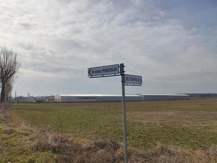 Teren de 7800 mp, în Ciolpani
