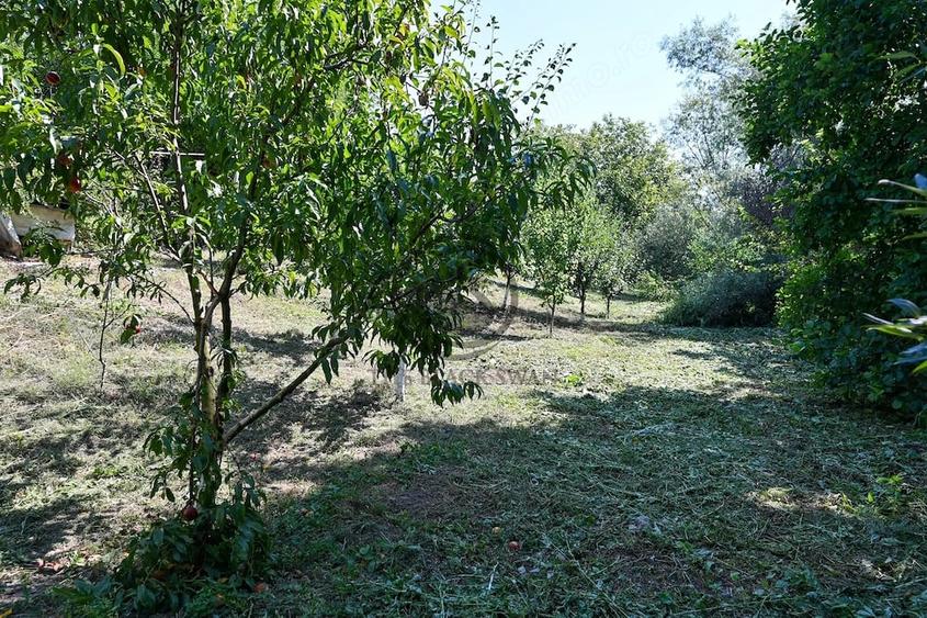 Casă cu 1 camere cu Teren 2846 Mp în Coada Izvorului