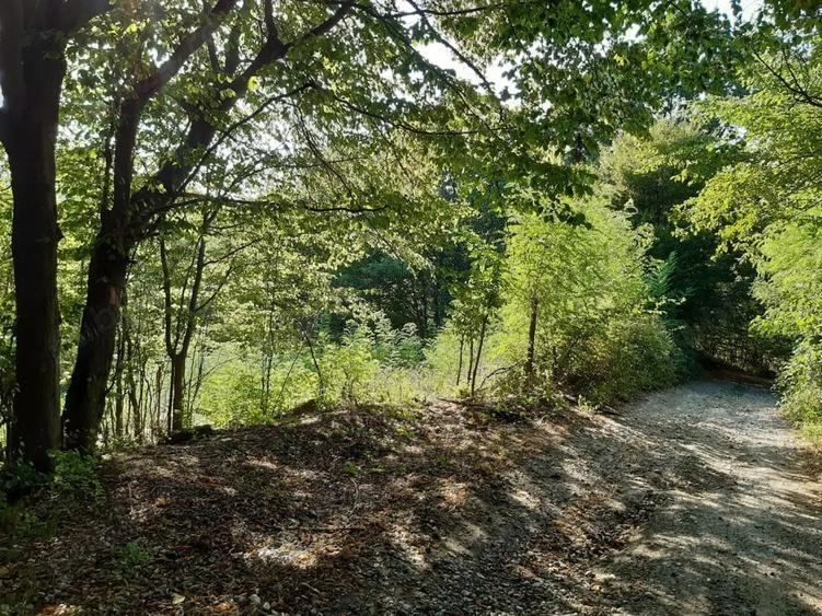 Teren în Marginea