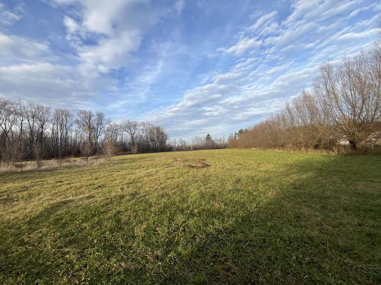 Teren Construcții intravilan de 7244 mp, în Hurjuieni