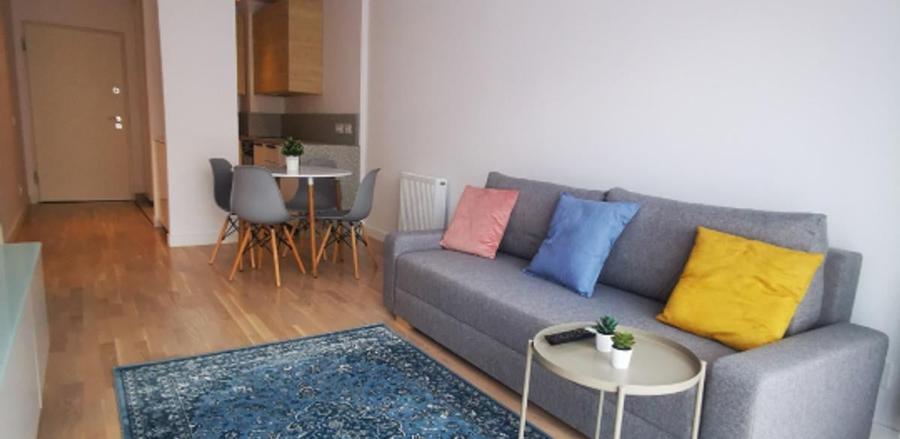 Apartament cu 2 camere decomandat, mobilat în Jiului