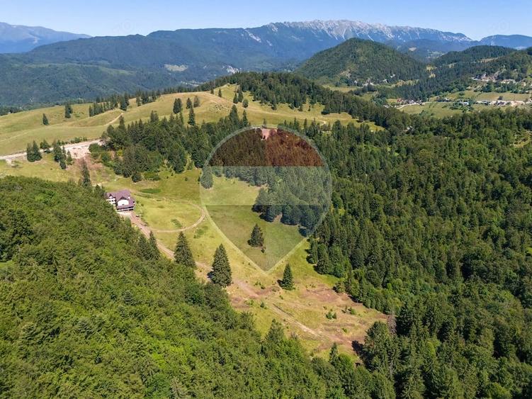 Teren premium 52.519 mp Dambovicioara, Arge? DN73 viitor intravilan - 3
