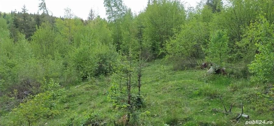 Teren de 6044 mp, în Călățele
