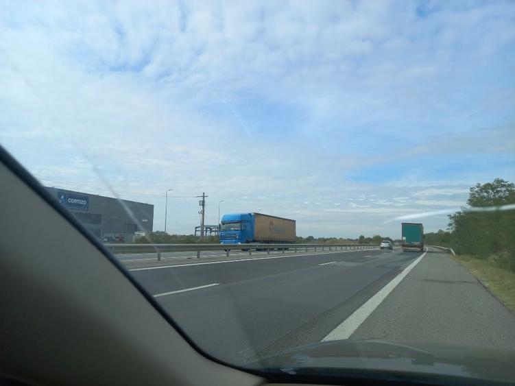 Teren agricol intravilan de 10000 mp, în Bolintin-Deal