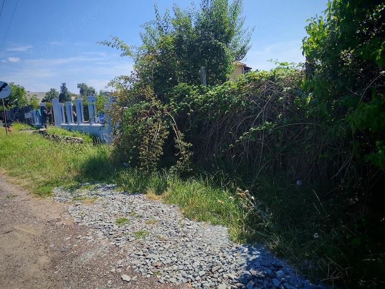 Teren de 4550 mp, în Sud