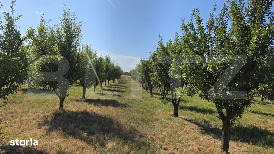 Casă cu 4 camere cu Teren 5000 Mp în Sud