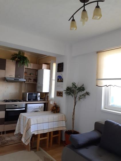 Apartament cu 2 camere decomandat în Turnișor
