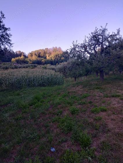 Teren de 9800 mp, în Pietrari