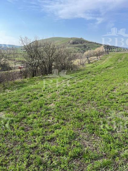 Teren extravilan de 6300 mp, în Gârbău
